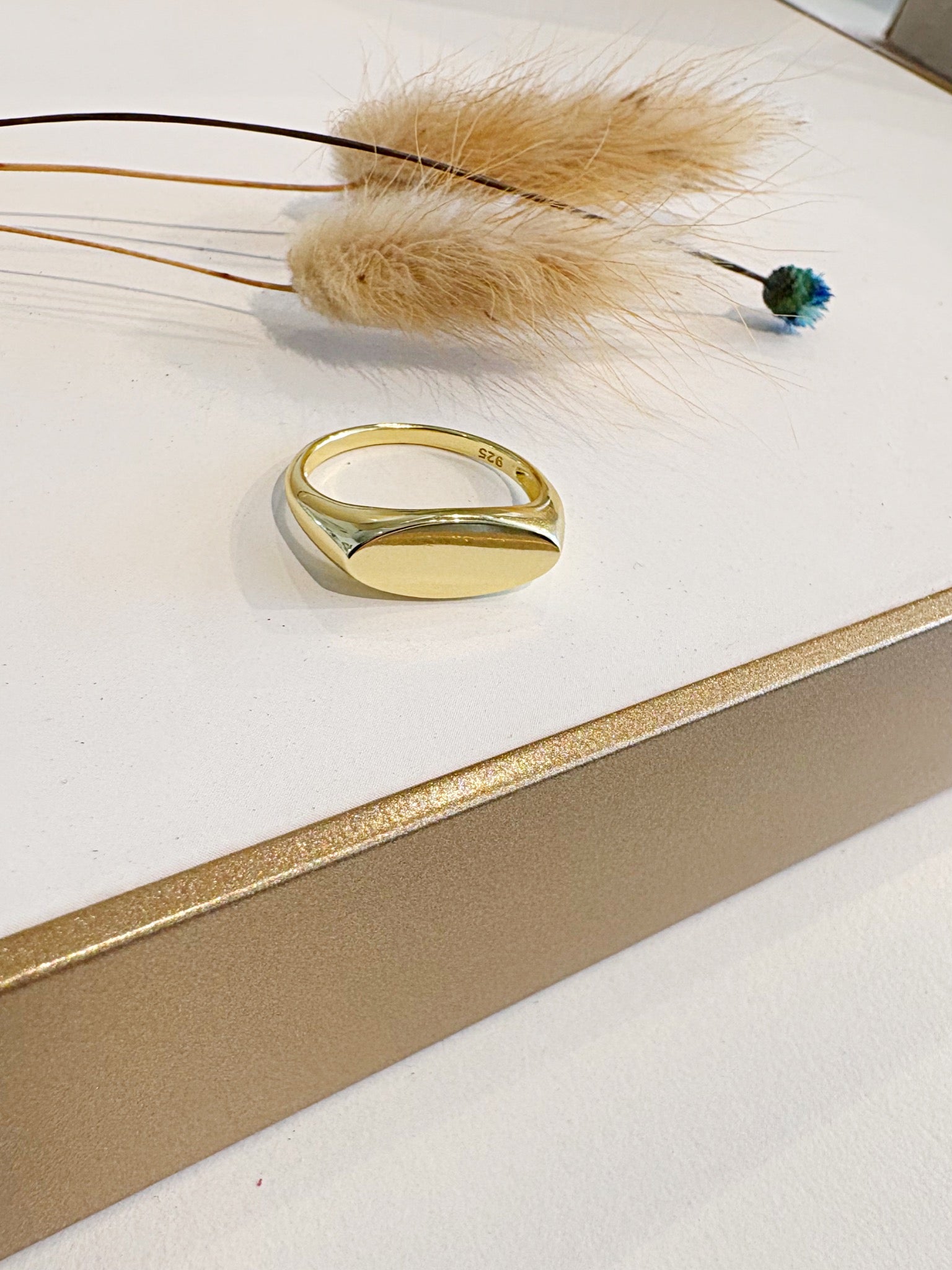 Oversized Signet Ring {Gold}