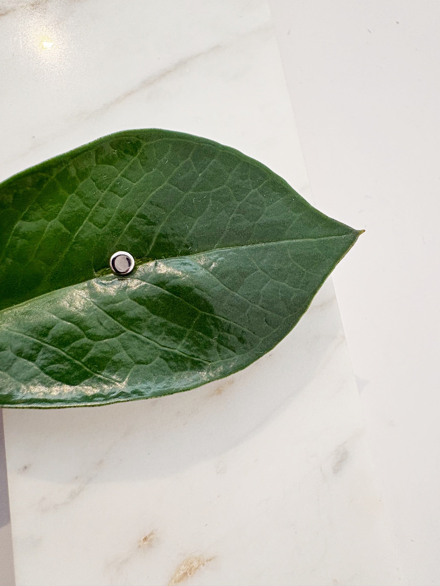 Disc Barbell SINGLE Earring {Silver}