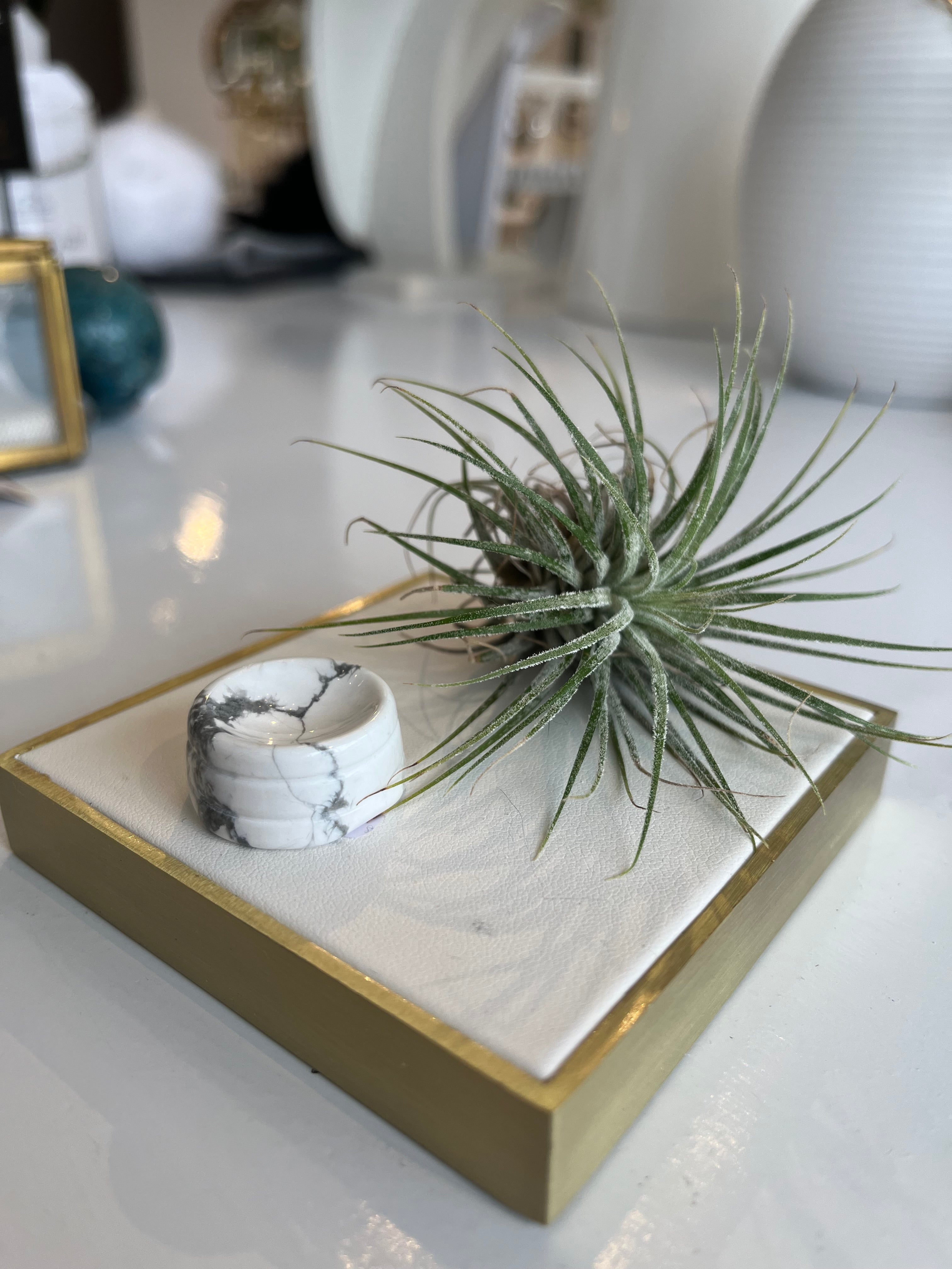 Crystal Sphere Stand {Howlite}