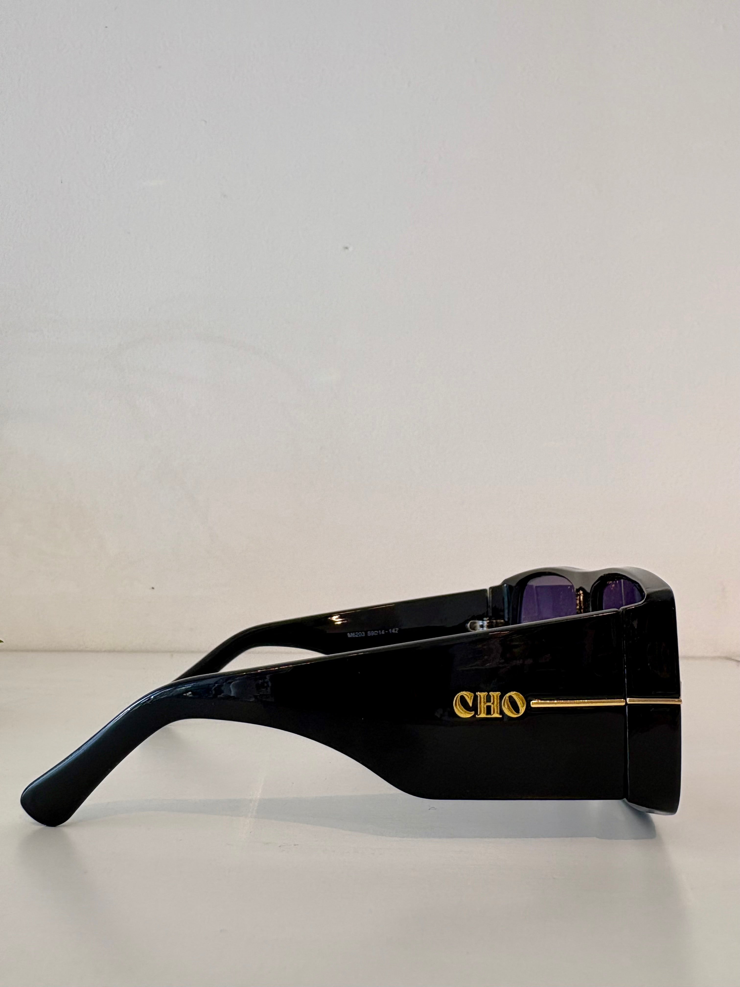 Sebastian Cho Block Sunglasses {Black}