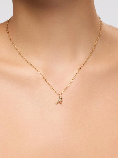 Pigeon Charm {10k}