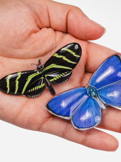 Allie Butterfly Clips {Light Catchers}