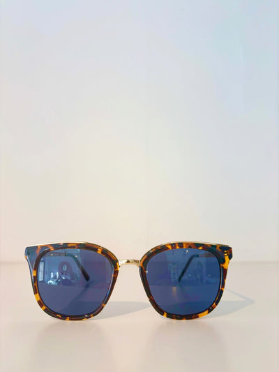 Provence Soft Square Sunglasses {Tortoiseshell}