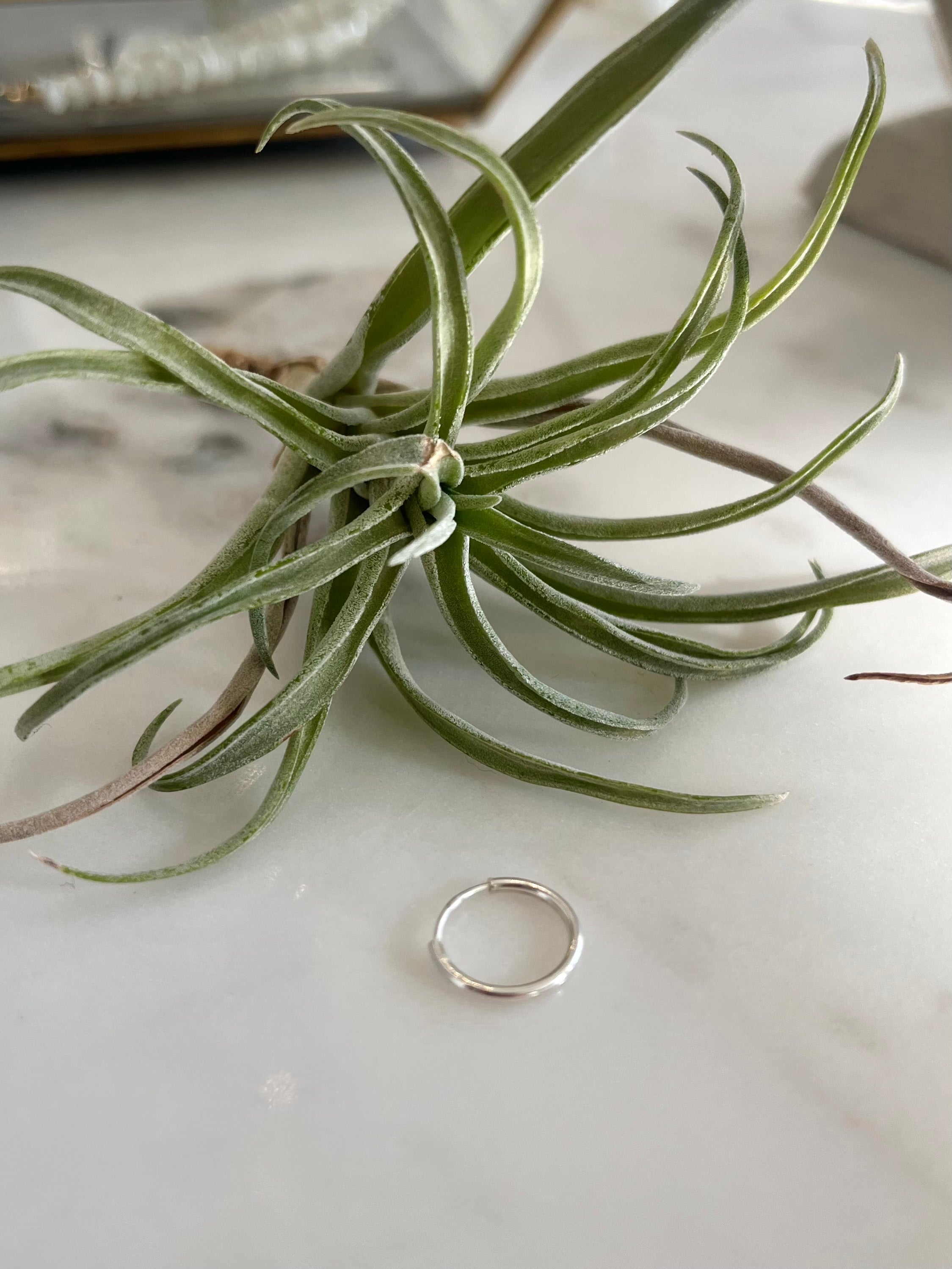 Single 12mm Endless Hoop Earring {Silver}