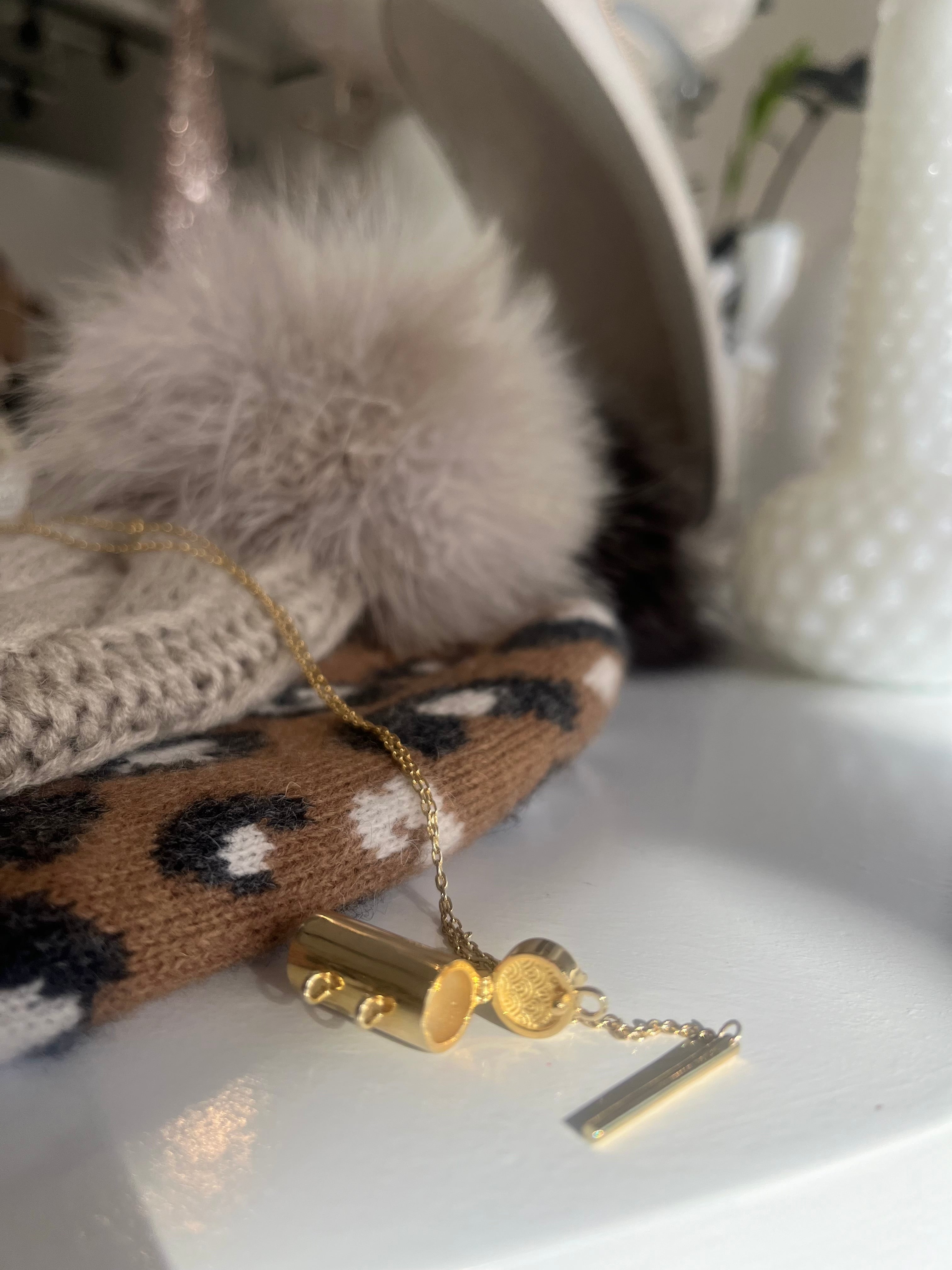 Capsule + Wand Locket Necklace {Gold}