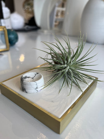 Crystal Sphere Stand {Howlite}