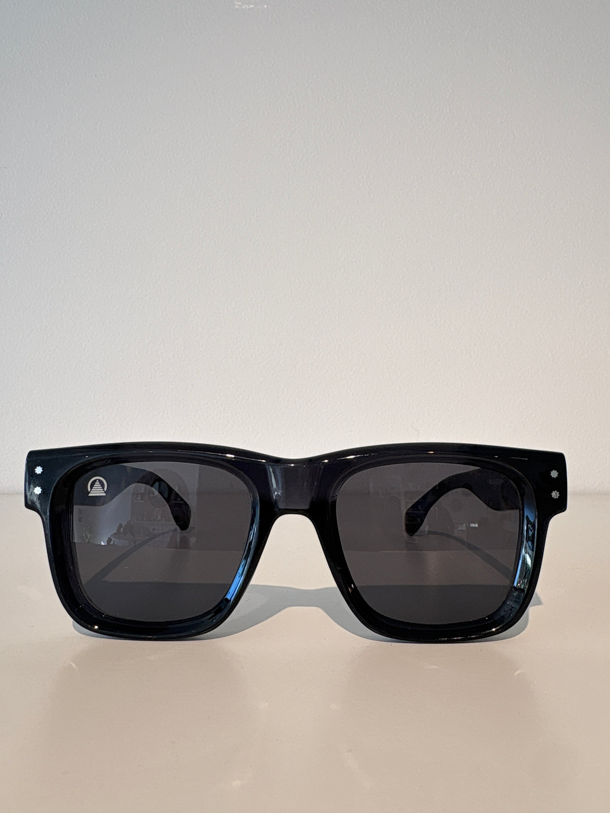 Sebastian Cho Sunglasses {Black/Purple Tortoise}